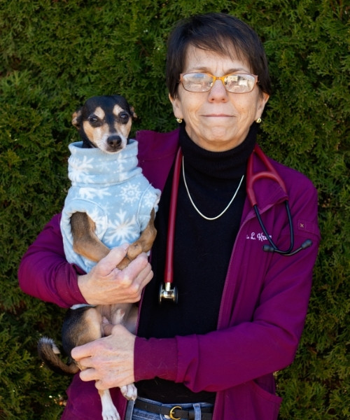 Dr. Kremer Dr. Kremer