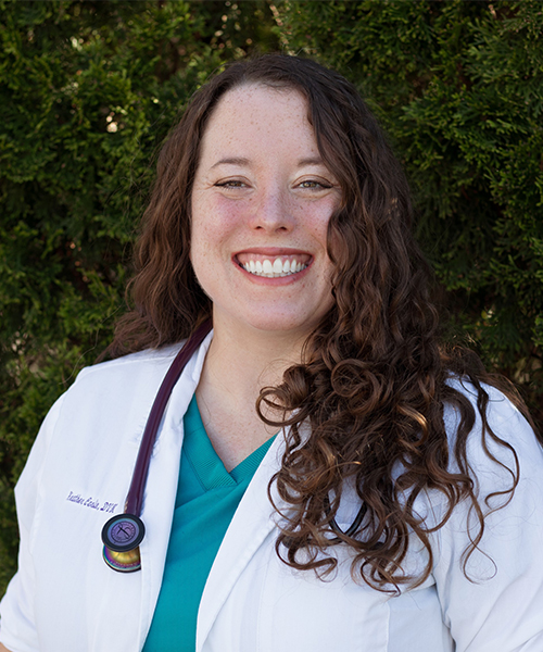 Dr. Heather Carlin