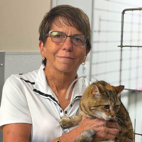 a woman in glasses and white shirt gently holds a brown tabby cat
